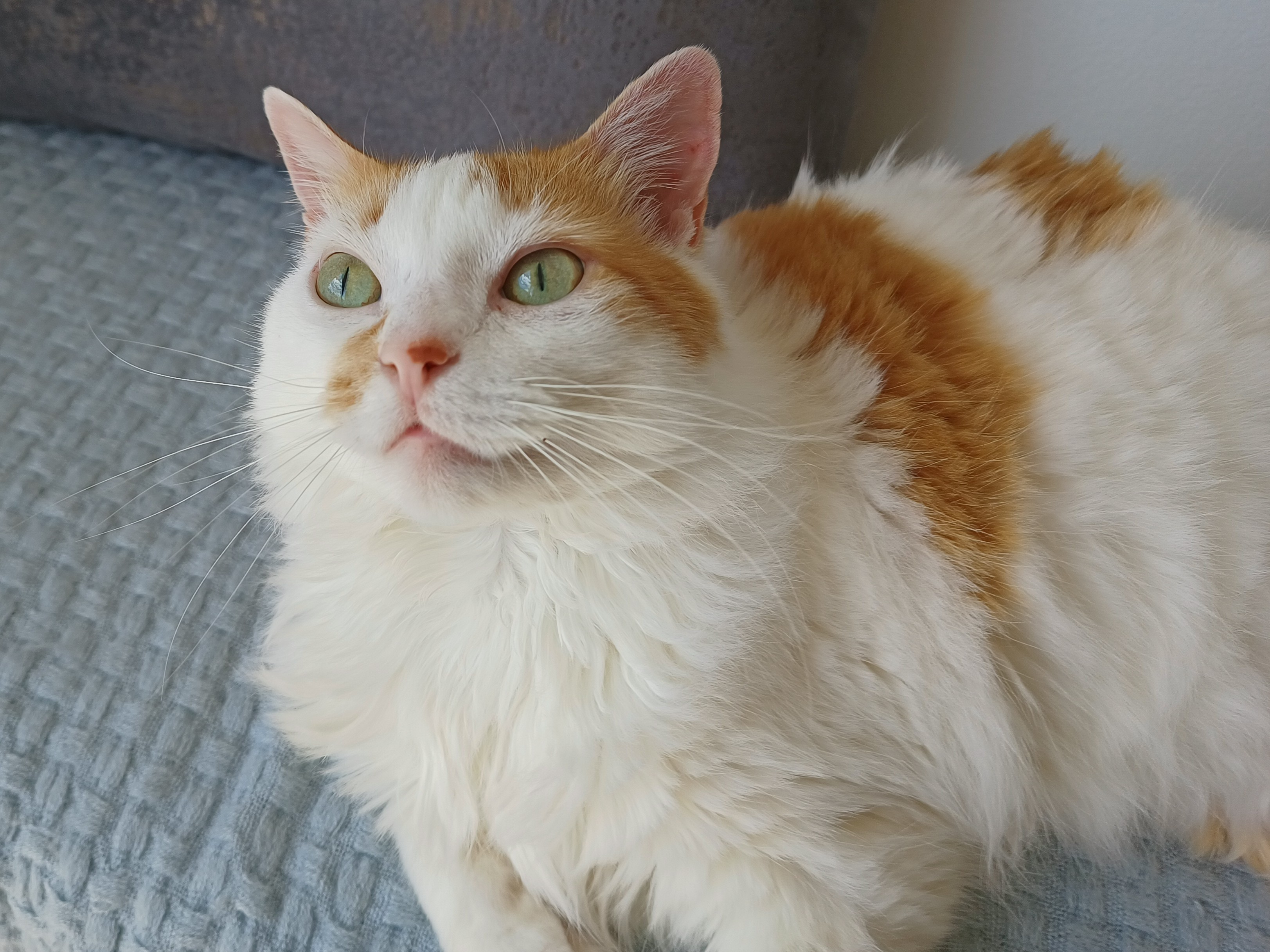 Blanca Josefina (no alias, she's a decent girl)